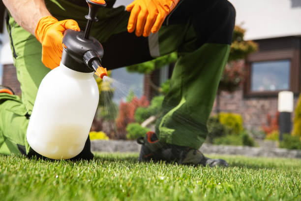 Best Cockroach Control Services  in Leisure Village, NJ