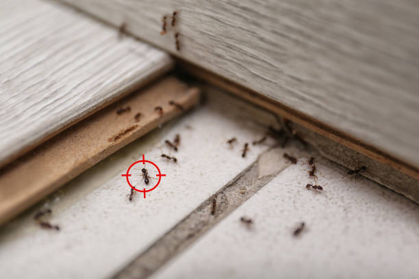Pest Control for Restaurants in Leisure Village, NJ