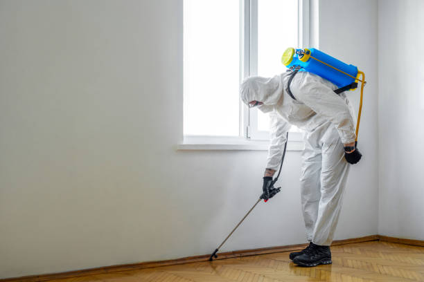 Best Local Pest Control Services  in Leisure Village, NJ