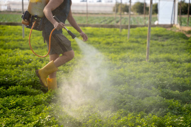 Best Affordable Pest Control Services  in Leisure Village, NJ