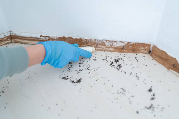 Best Pest Prevention Services  in Leisure Village, NJ